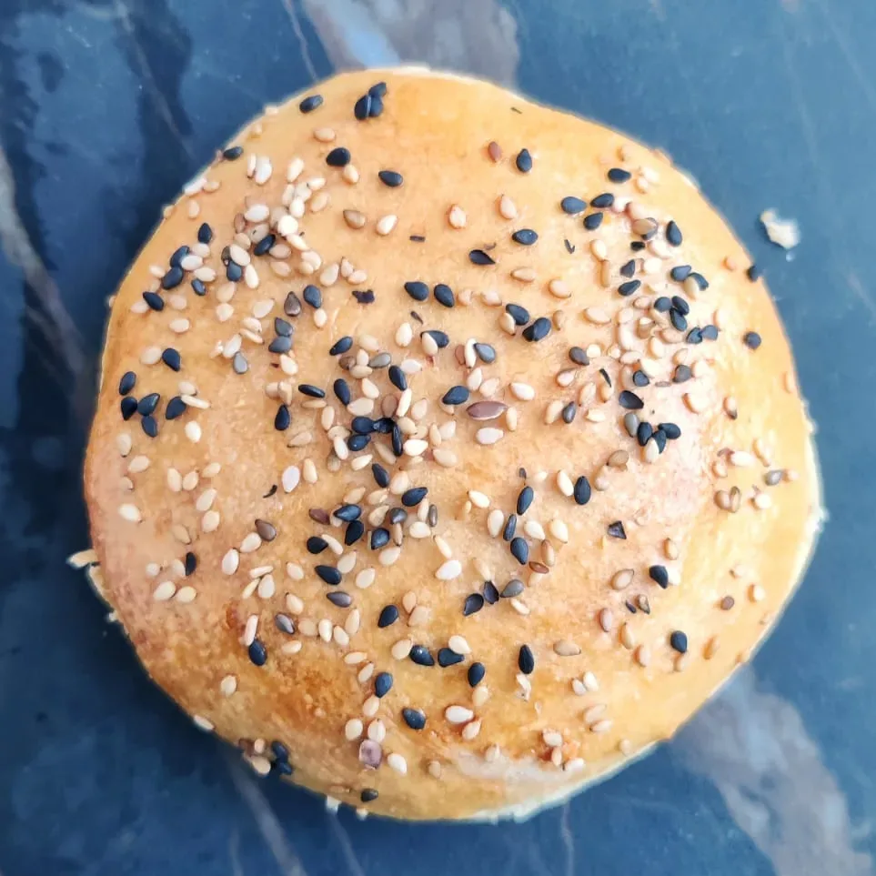 PANINI DA HAMBURGER
